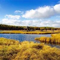 地心历险记的观后感选录