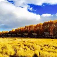 《贞操问题》读后感合集