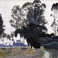 青龙偃月刀韩少功读后感总汇