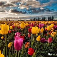 狐狸和野兔读后感总汇