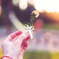 最好的抉择读后感杰尔摘录