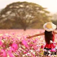 蒙古王观后感353字集合