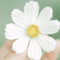 少儿爱国主义教育读后感精选