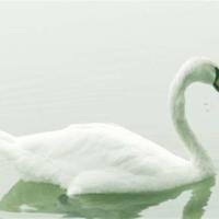 长征电影版的观后感作文集合