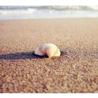 小学生学生天地读后感摘录