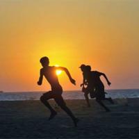 小学生贝多芬读后感精练