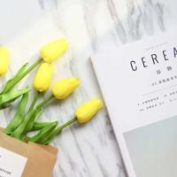 太阳读后感400字锦集