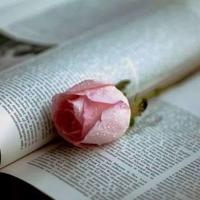 植物的光合作用读后感聚集