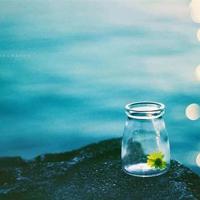 六年级上册语文洗脸读后感汇合