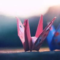 因果宿命与自由观后感汇聚