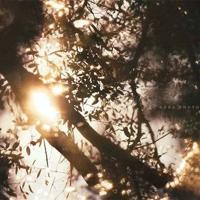 迷人的鄱阳湖读后感20字收集