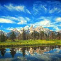 忧伤的鱼的读后感集锦