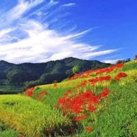 跟蔡康永学说话章节读后感选录