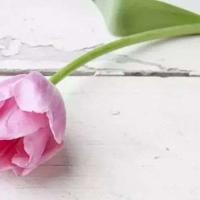 断魔归本合元神观后感集锦