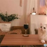 村上春树读后感600字整理