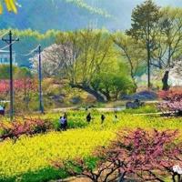 看天道电视剧的观后感汇总