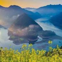 我是一个侦察兵的观后感选录