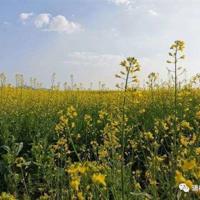 网络妈妈观后感310字合计