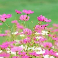 坚持就是信仰观后感总汇