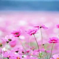 破冰观后感50篇集锦