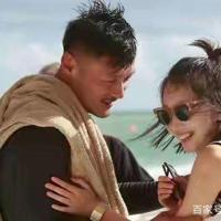 小海马找朋友读后感合计