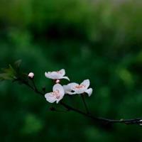 黄金大劫案看后观后感选录