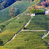 幸福了吗读后感白岩松摘录