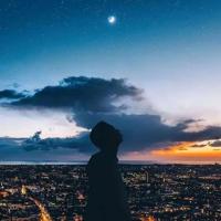 通天神树读后感500字细选