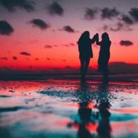 农博会观后感1200字精选