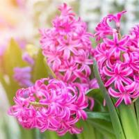 天使之城观后感800字精选