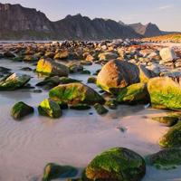 阅兵训练细节观后感汇聚