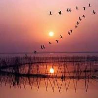 民族观后感两百字以上细选