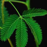 老师100字读后感总汇