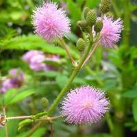 神勇小子观后感300精练