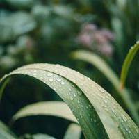 自信的故事读后感摘录