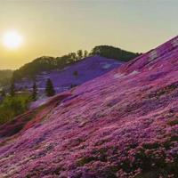 读读童瑶和儿歌读后感汇集