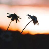 微小说雨还在下的读后感合计