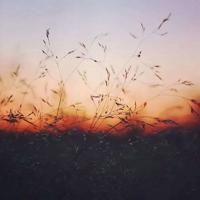 教师论持久战读后感锦集