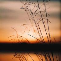 铁甲钢拳观后感简介汇总