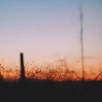 聆听水的声音读后感总汇