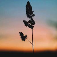 传奇霍金观后感50字集锦