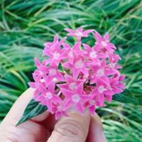 今日新闻100字观后感汇总