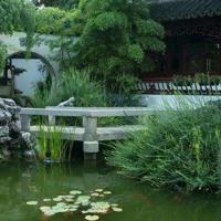 黄飞鸿观后感300字精选