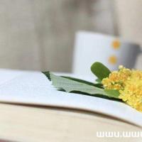 为了忘却的记忆读后感摘录