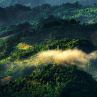 辛亥革命电影的观后感总汇