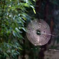 徐皓峰道士下山小说观后感选录