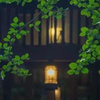 保护环境读后感好开头汇总