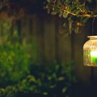 厦门中山公园观后感聚集