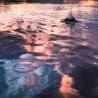 舌战群儒读后感四百字摘录