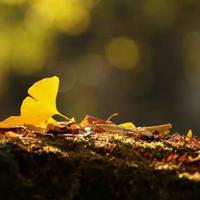 每天一记读后感50字总汇